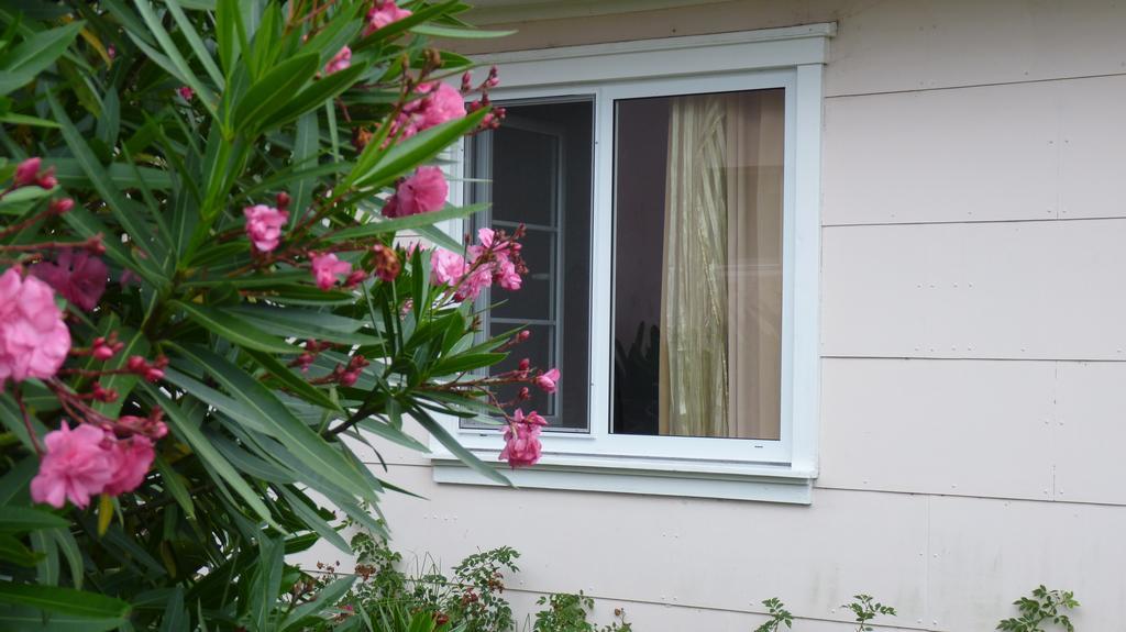 Azores Garden House - Private Suites & Apartments - Automatic Self Check-In Ponta Delgada  Exterior photo
