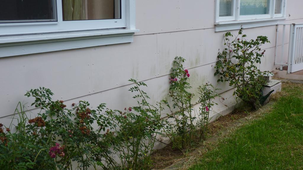 Azores Garden House - Private Suites & Apartments - Automatic Self Check-In Ponta Delgada  Exterior photo