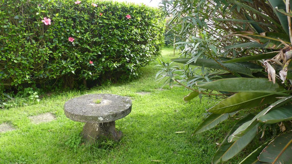 Azores Garden House - Private Suites & Apartments - Automatic Self Check-In Ponta Delgada  Exterior photo