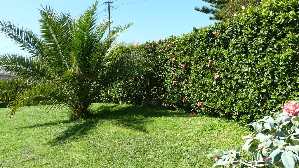 Azores Garden House - Private Suites & Apartments - Automatic Self Check-In Ponta Delgada  Exterior photo